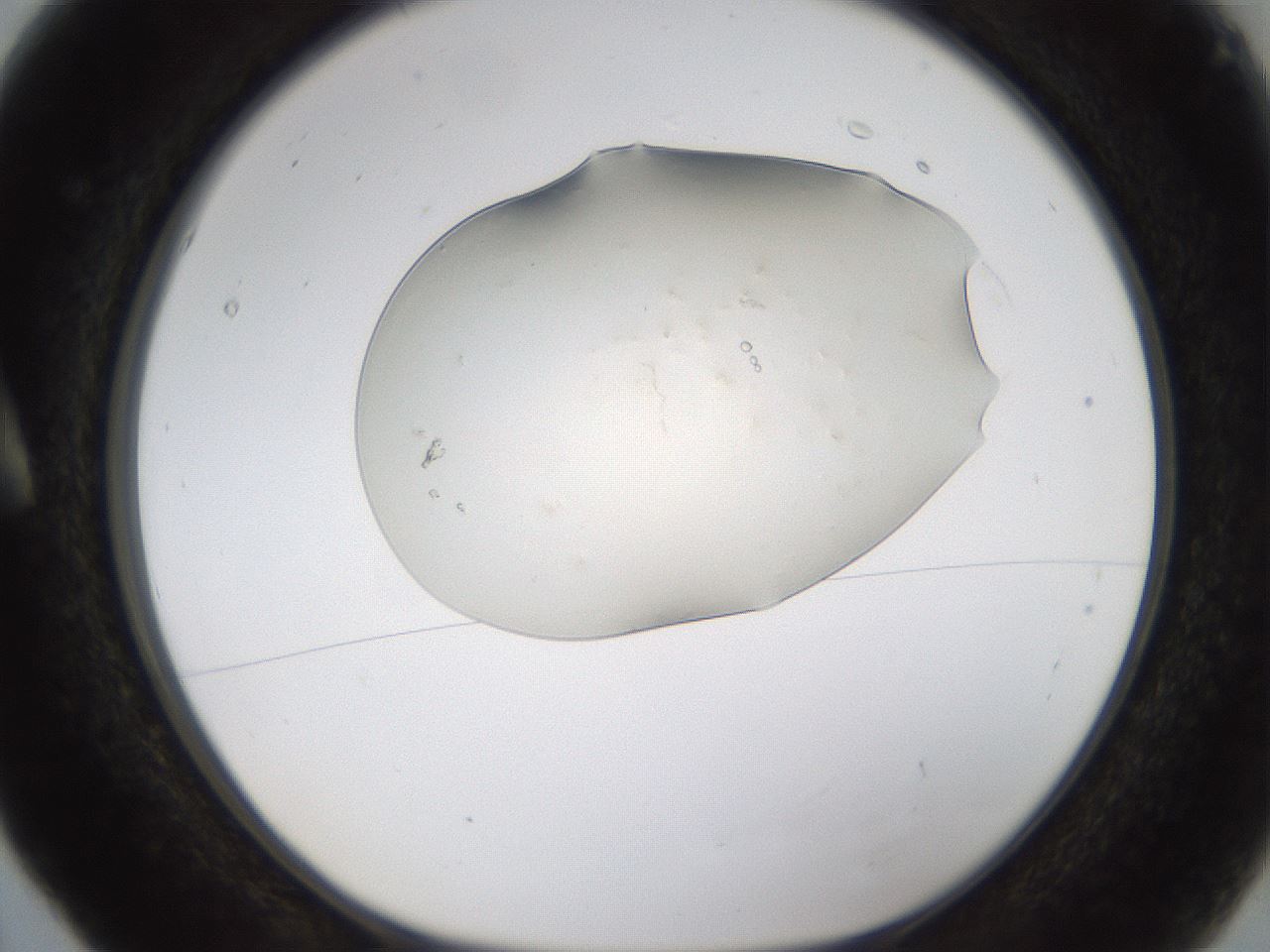 folderID389_plateID1389_batchID5012_wellNum5_profileID1_d1_r84886_ef.jpg