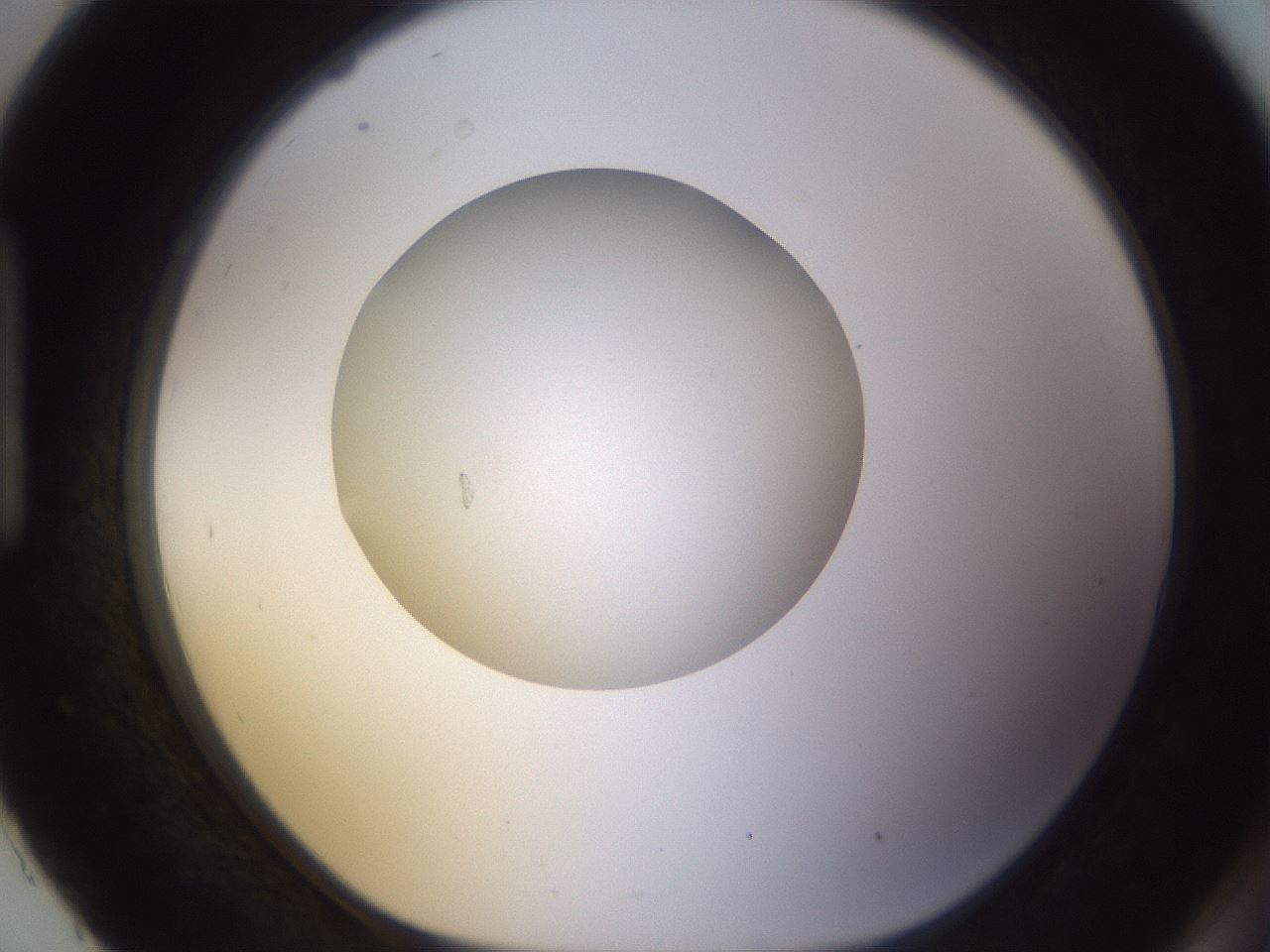 folderID400_plateID1400_batchID5057_wellNum93_profileID1_d1_r85646_ef.jpg