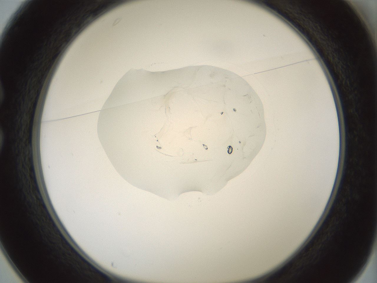 folderID415_plateID1415_batchID5192_wellNum25_profileID1_d1_r86922_ef.jpg