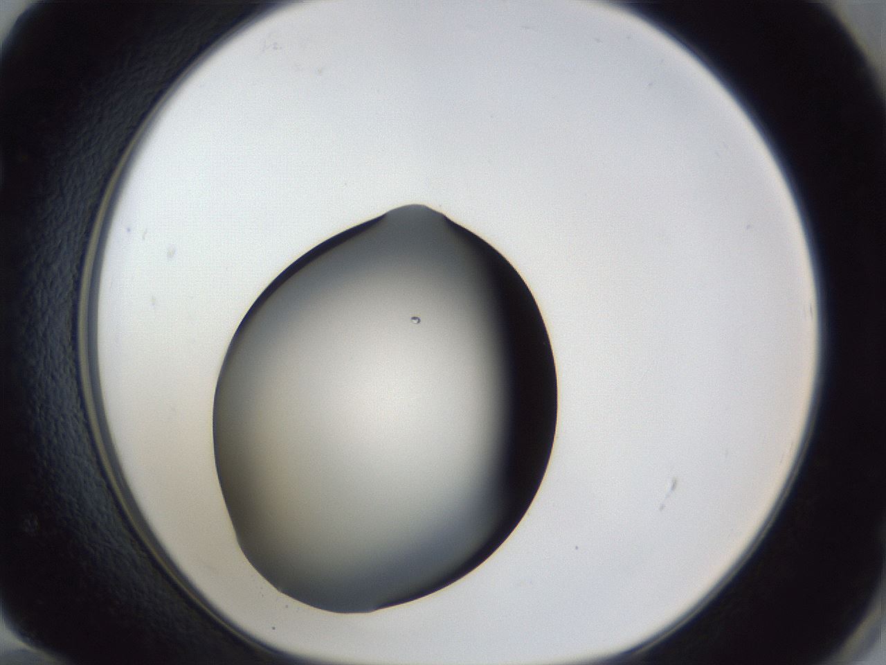 folderID41_plateID1041_batchID2098_wellNum72_profileID1_d1_r45526_ef.jpg