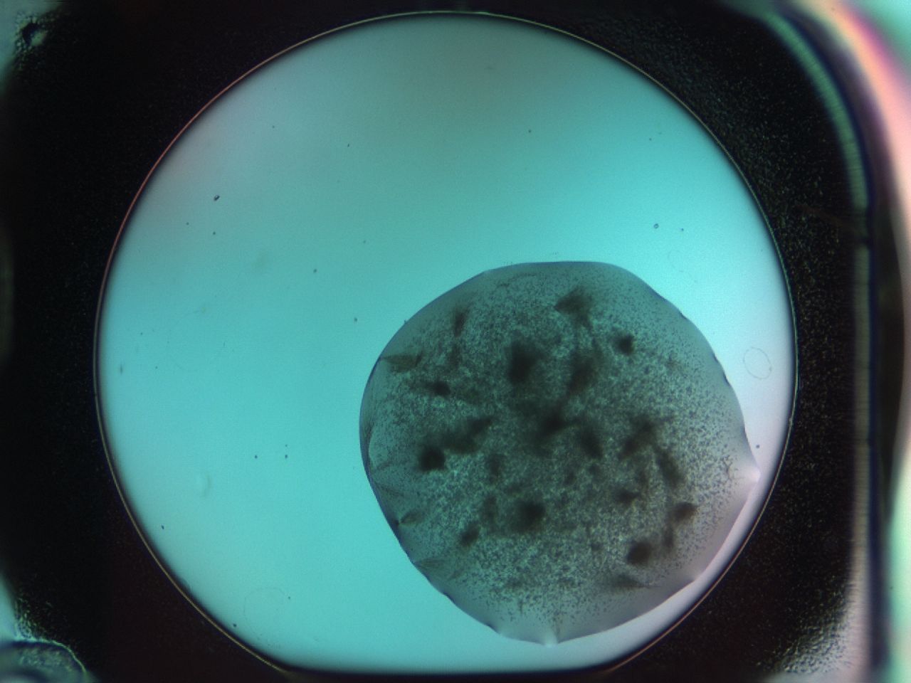 03cp_D12_ImagerDefaults_6.jpg