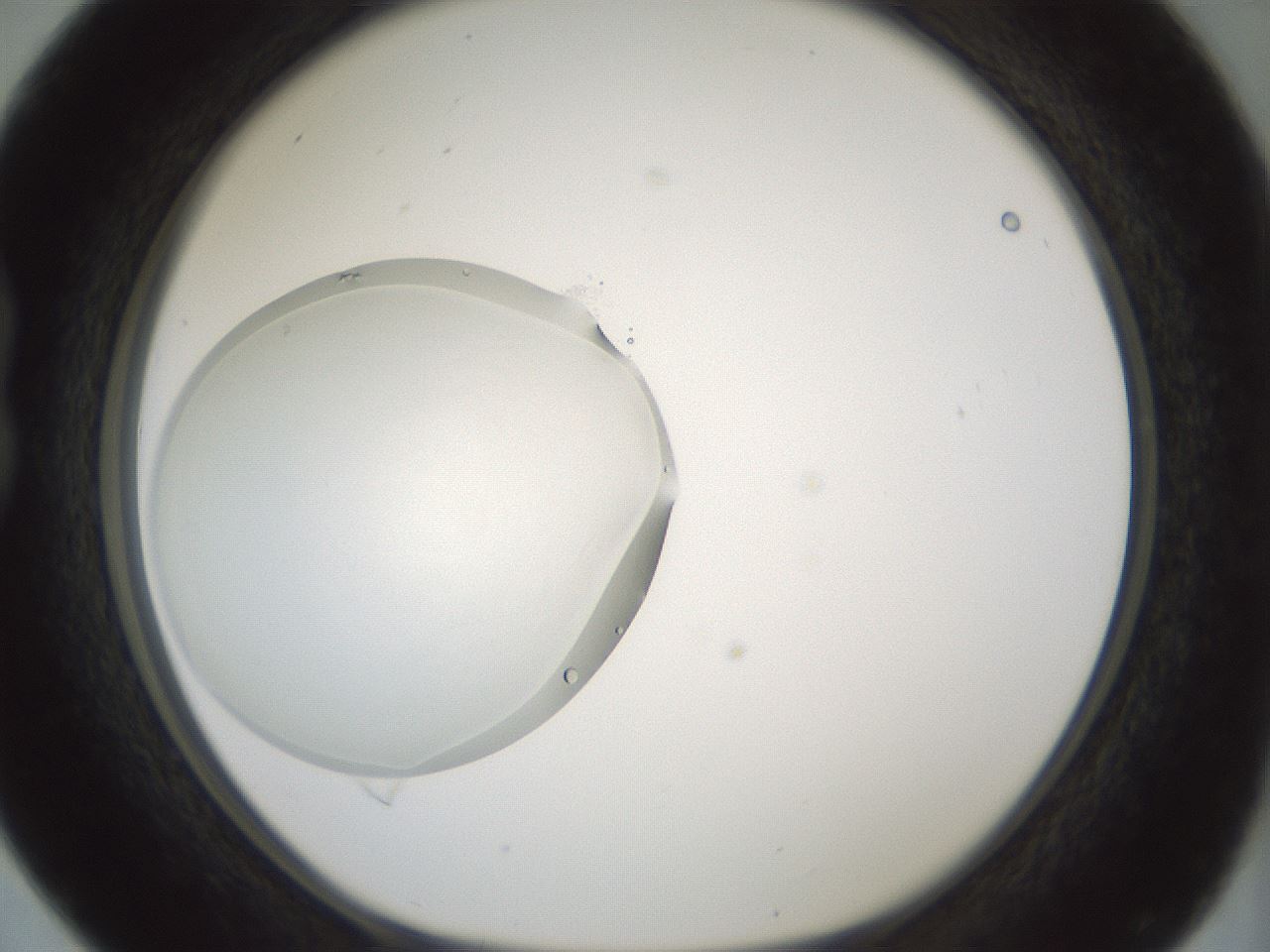 folderID430_plateID1430_batchID5437_wellNum16_profileID1_d1_r89527_ef.jpg