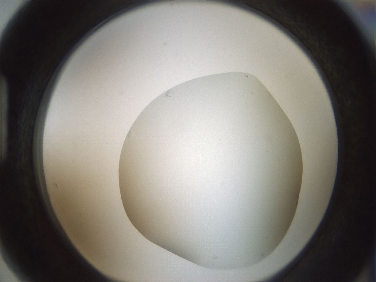 folderID431_plateID1431_batchID5431_wellNum89_profileID1_d1_r87945_ef.jpg