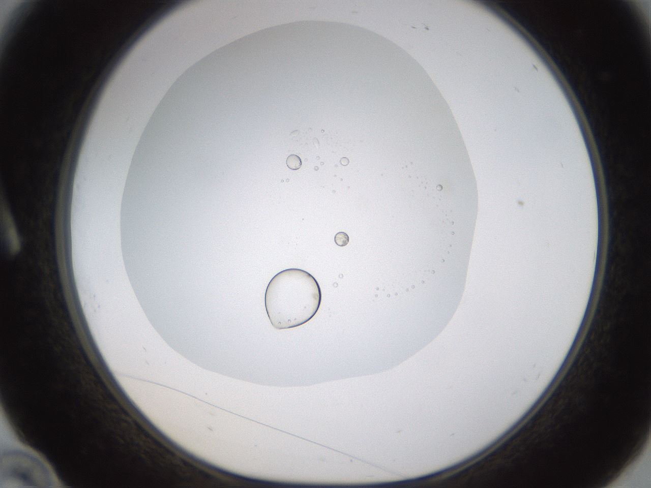 folderID432_plateID1432_batchID5439_wellNum10_profileID1_d1_r87979_ef.jpg