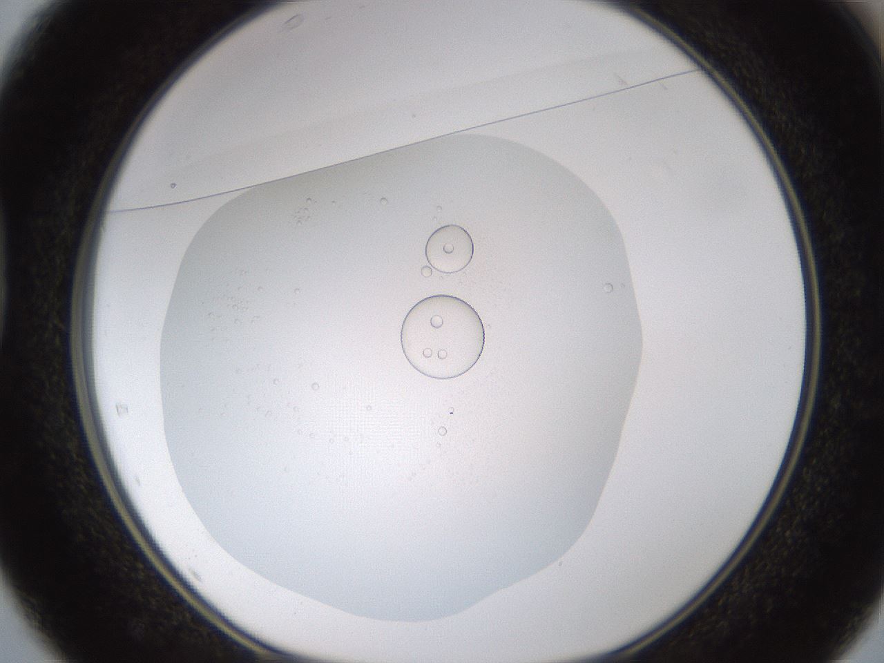 folderID432_plateID1432_batchID5439_wellNum37_profileID1_d1_r88033_ef.jpg