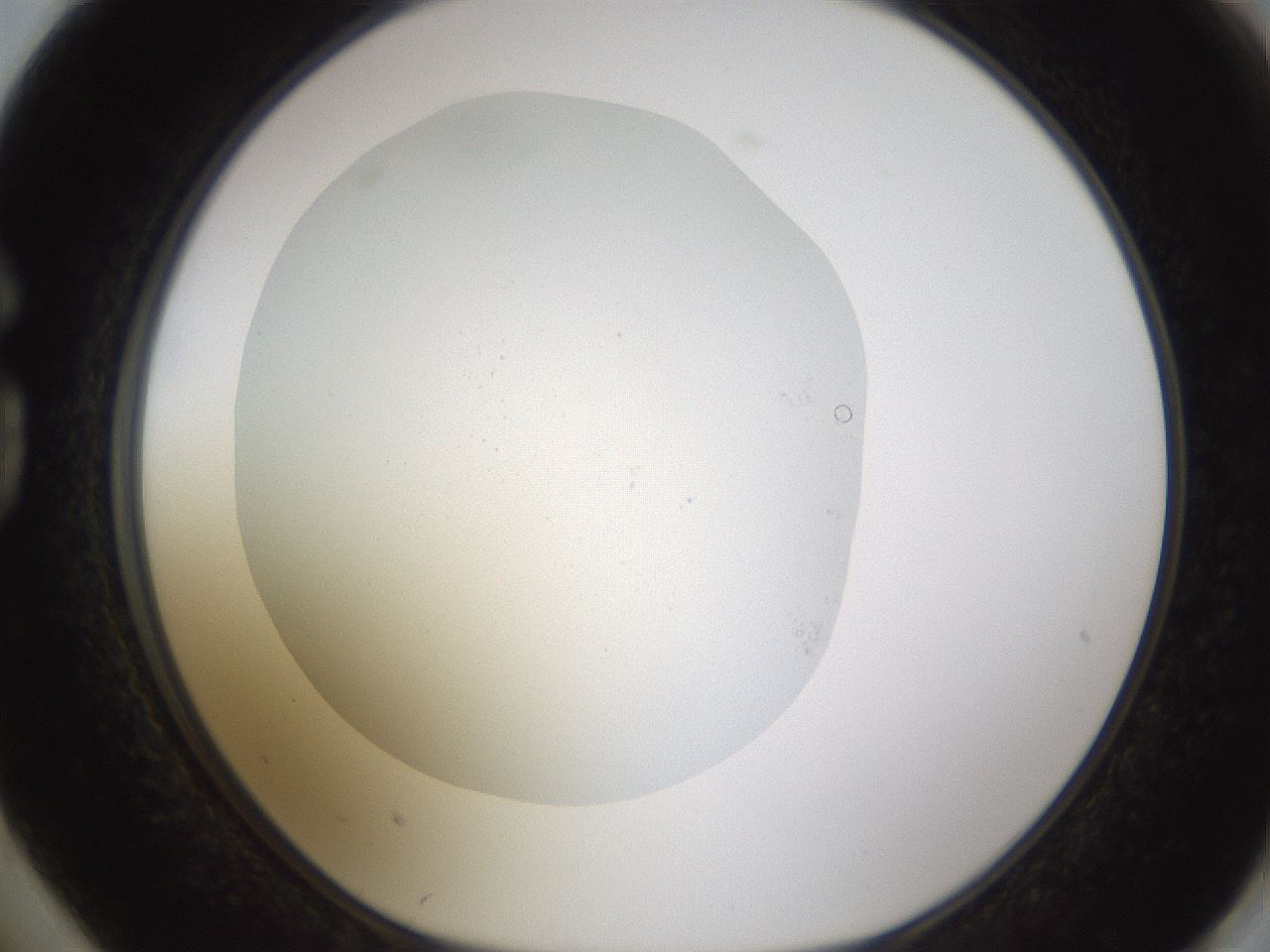 folderID432_plateID1432_batchID5439_wellNum74_profileID1_d1_r88107_ef.jpg