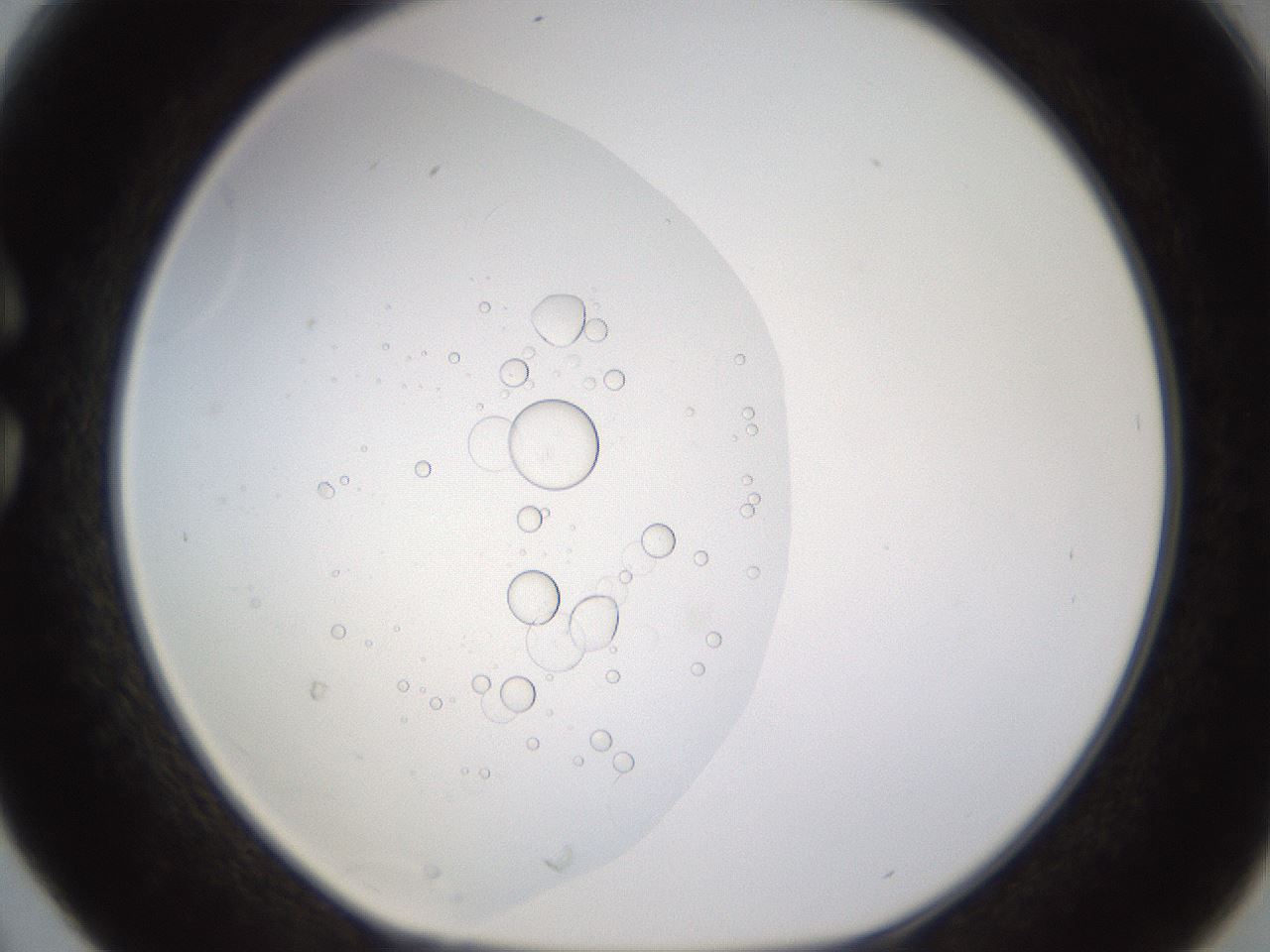 folderID432_plateID1432_batchID5439_wellNum30_profileID1_d1_r88019_ef.jpg