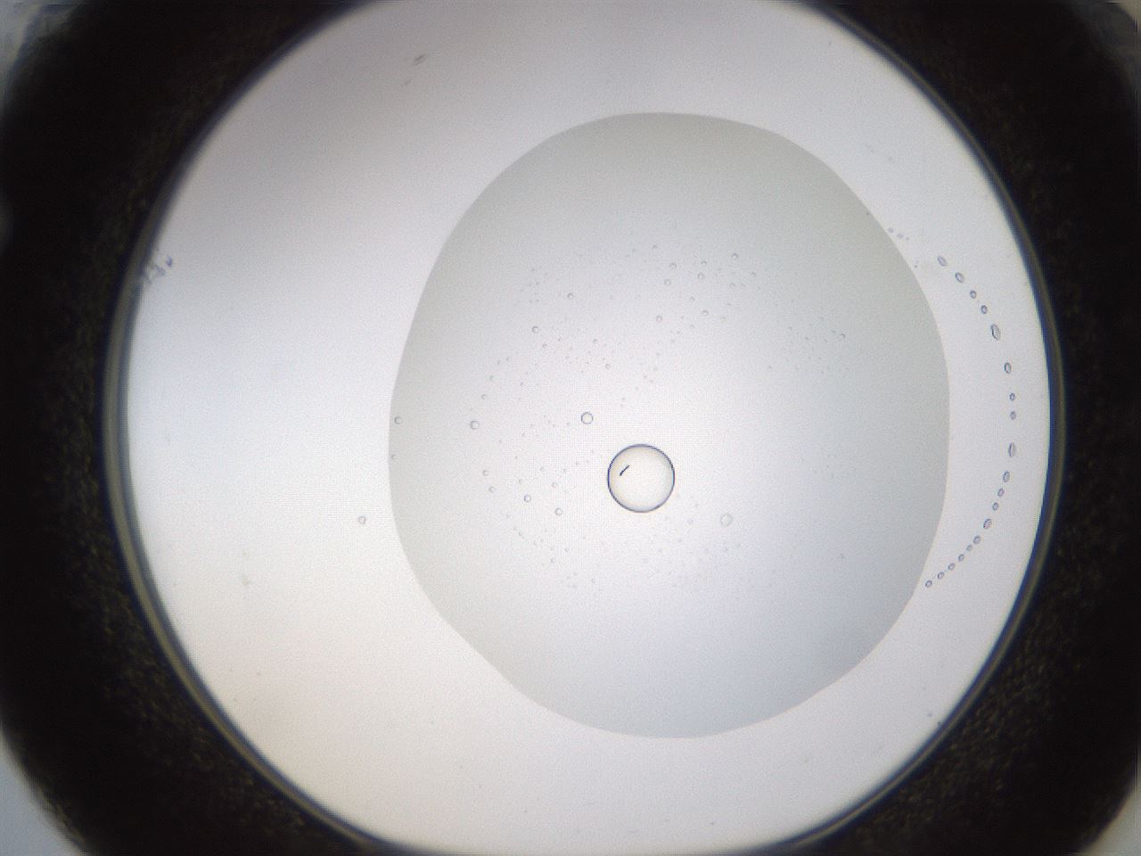 folderID435_plateID1435_batchID5441_wellNum61_profileID1_d1_r88849_ef.jpg