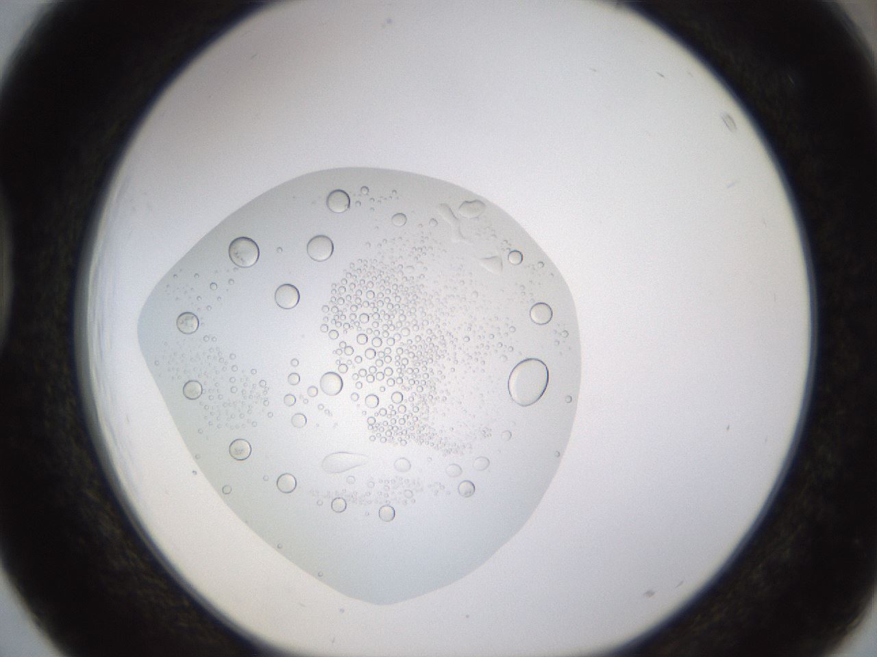 folderID437_plateID1437_batchID5444_wellNum39_profileID1_d1_r89765_ef.jpg