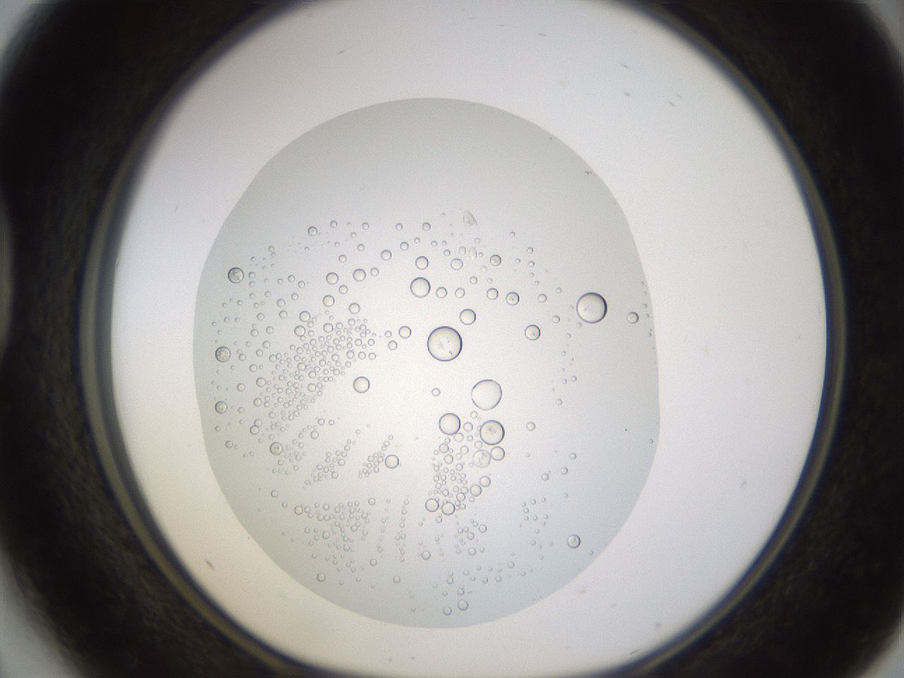 folderID437_plateID1437_batchID5444_wellNum41_profileID1_d1_r89769_ef.jpg