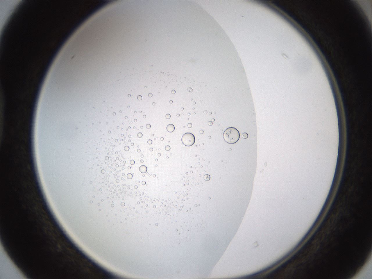 folderID437_plateID1437_batchID5444_wellNum40_profileID1_d1_r89767_ef.jpg