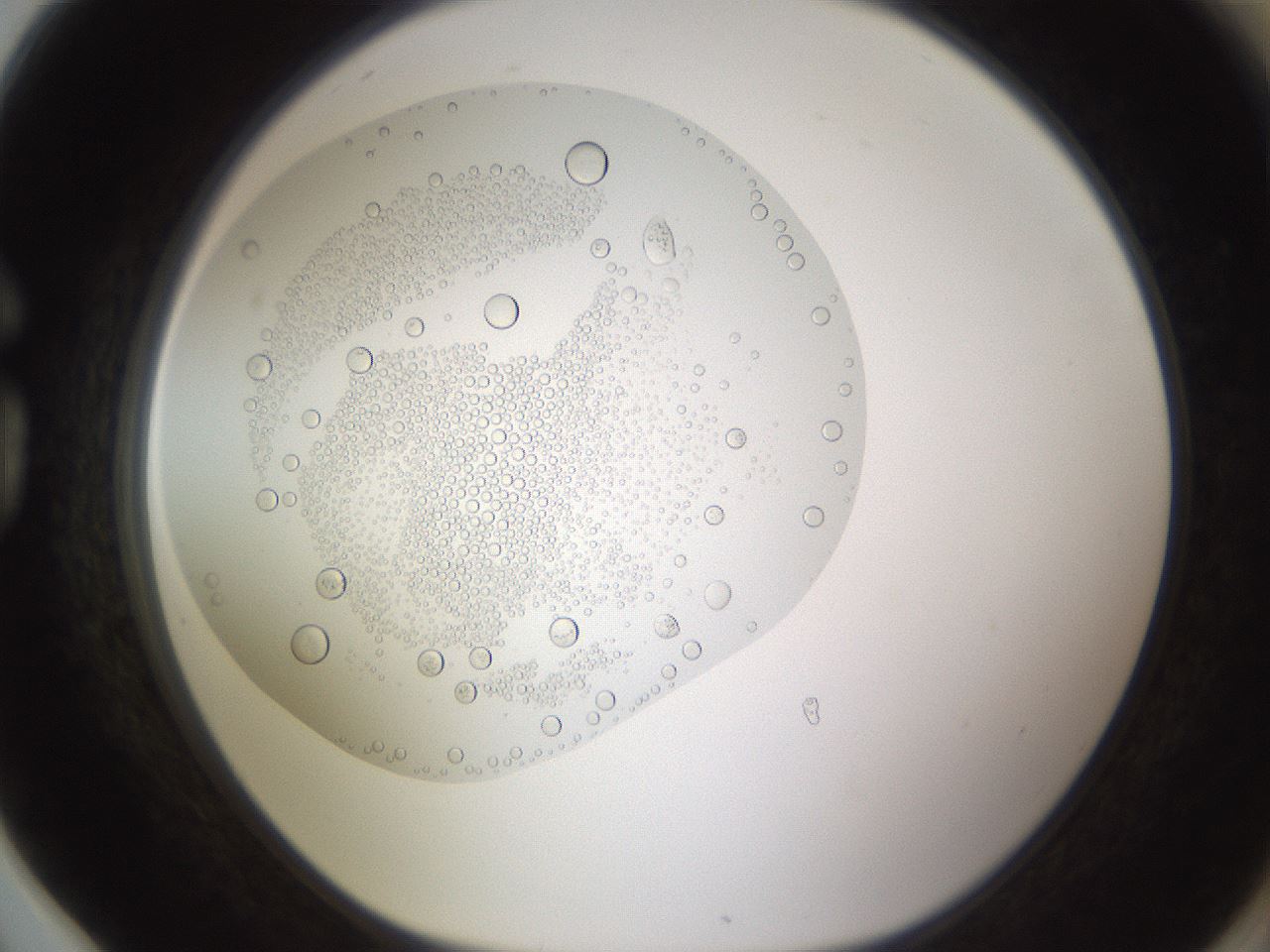folderID437_plateID1437_batchID5444_wellNum78_profileID1_d1_r89843_ef.jpg