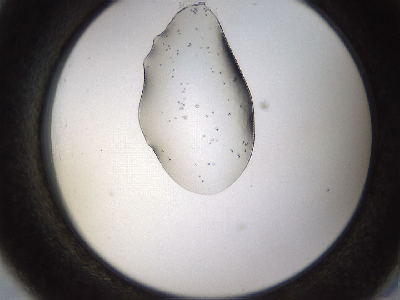 folderID446_plateID1446_batchID5500_wellNum79_profileID1_d2_r91481_ef.jpg