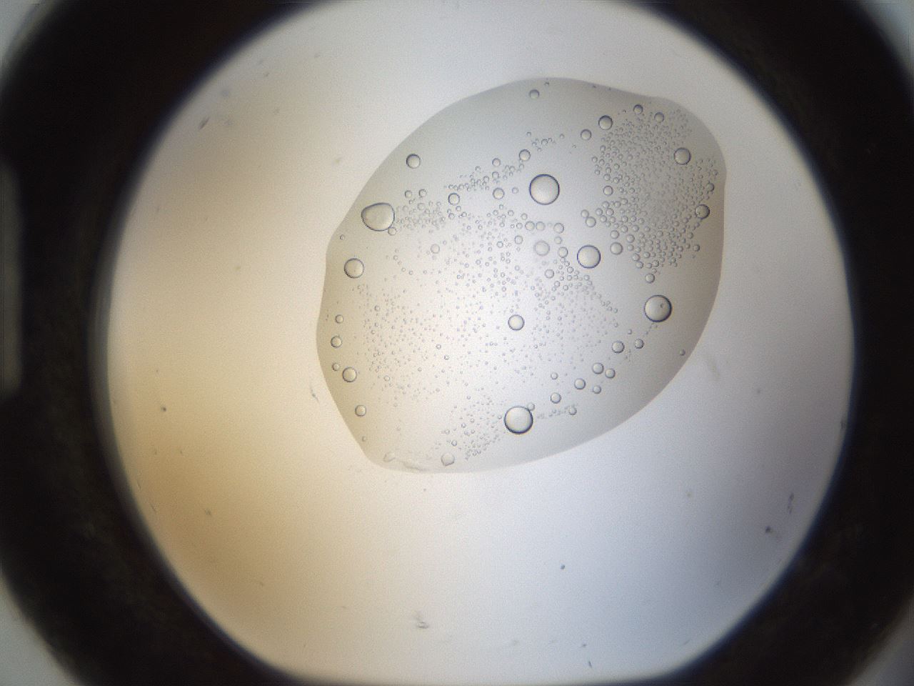 folderID16_plateID1016_batchID1885_wellNum92_profileID1_d1_r42975_ef.jpg