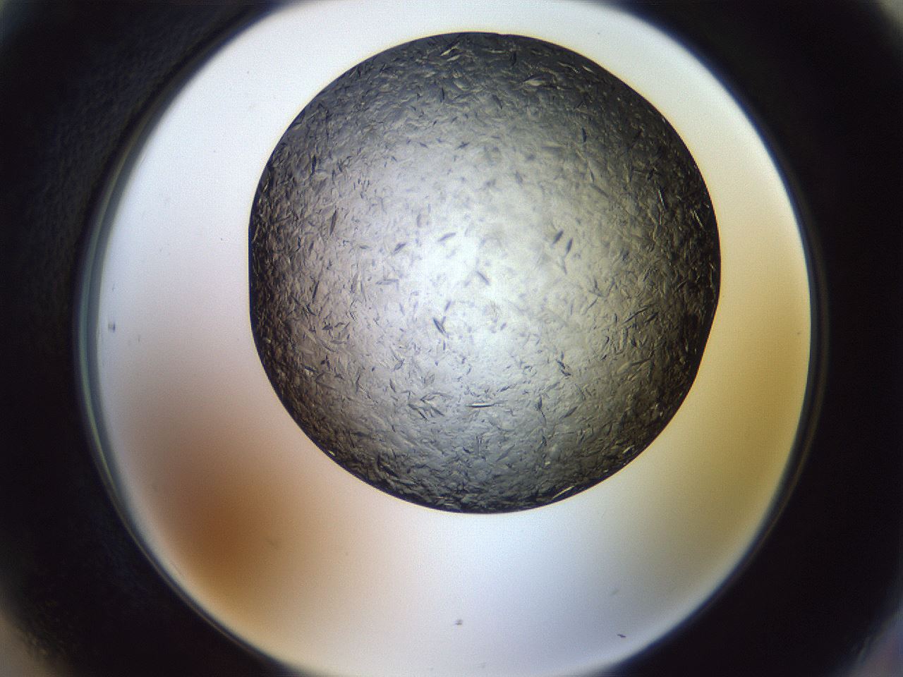 folderID470_plateID1470_batchID5636_wellNum90_profileID1_d2_r93144_ef.jpg