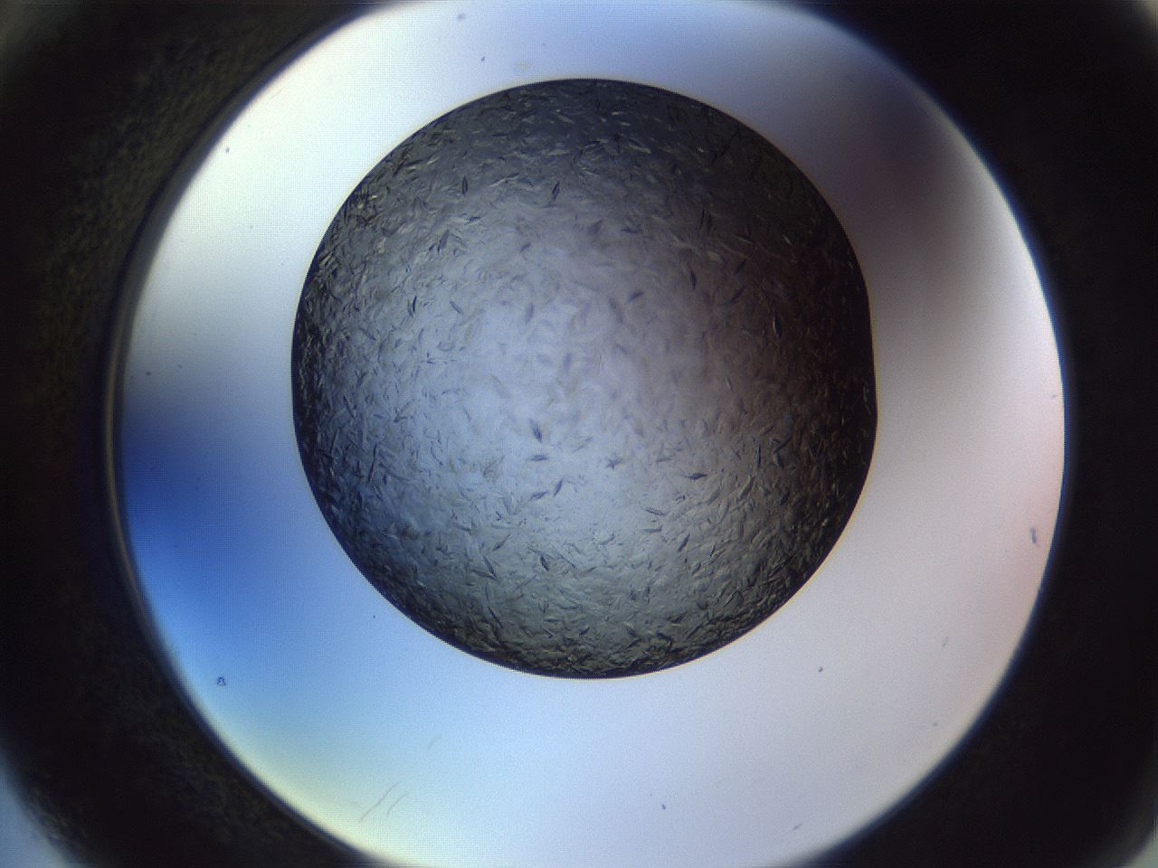 folderID470_plateID1470_batchID5656_wellNum76_profileID1_d2_r93116_ef.jpg