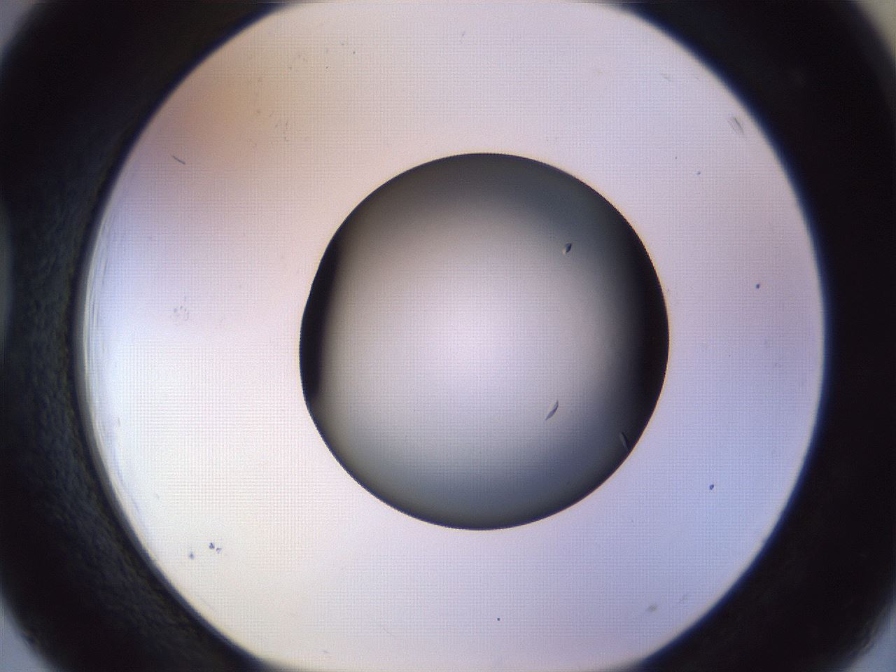 folderID470_plateID1470_batchID5673_wellNum39_profileID1_d1_r93041_ef.jpg