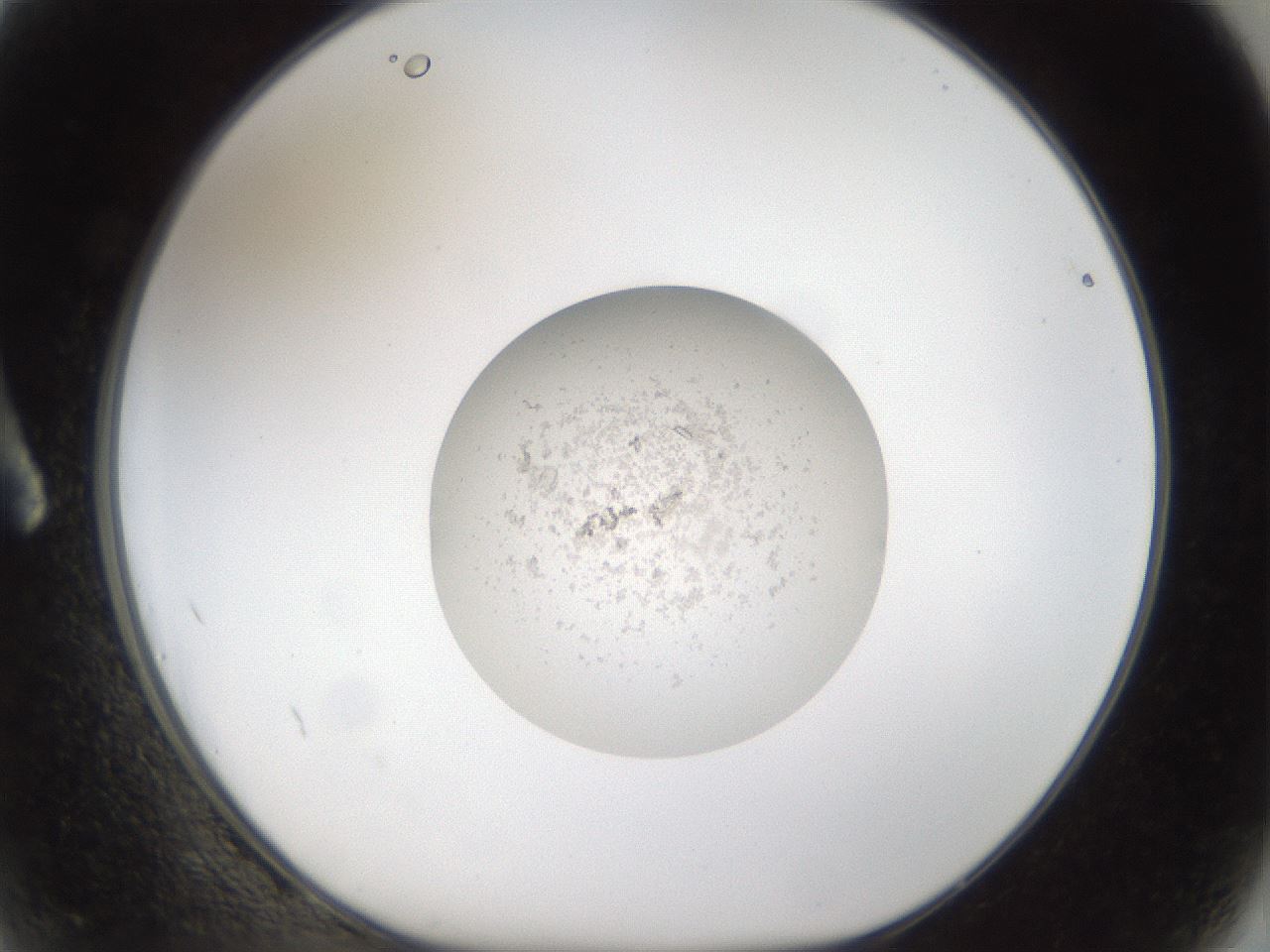 folderID49_plateID1049_batchID2121_wellNum2_profileID1_d1_r46921_ef.jpg