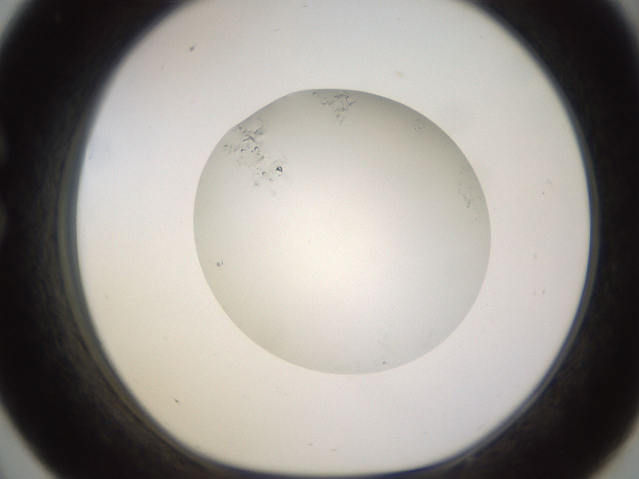 folderID523_plateID1523_batchID6125_wellNum33_profileID1_d1_r97681_ef.jpg