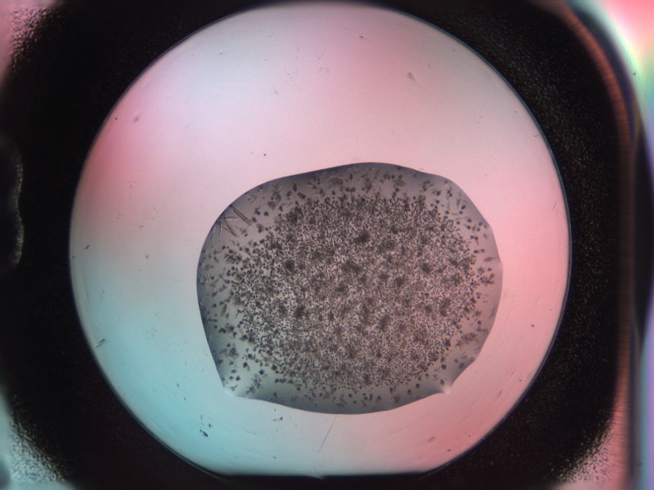 03cr_B6_ImagerDefaults_6.jpg