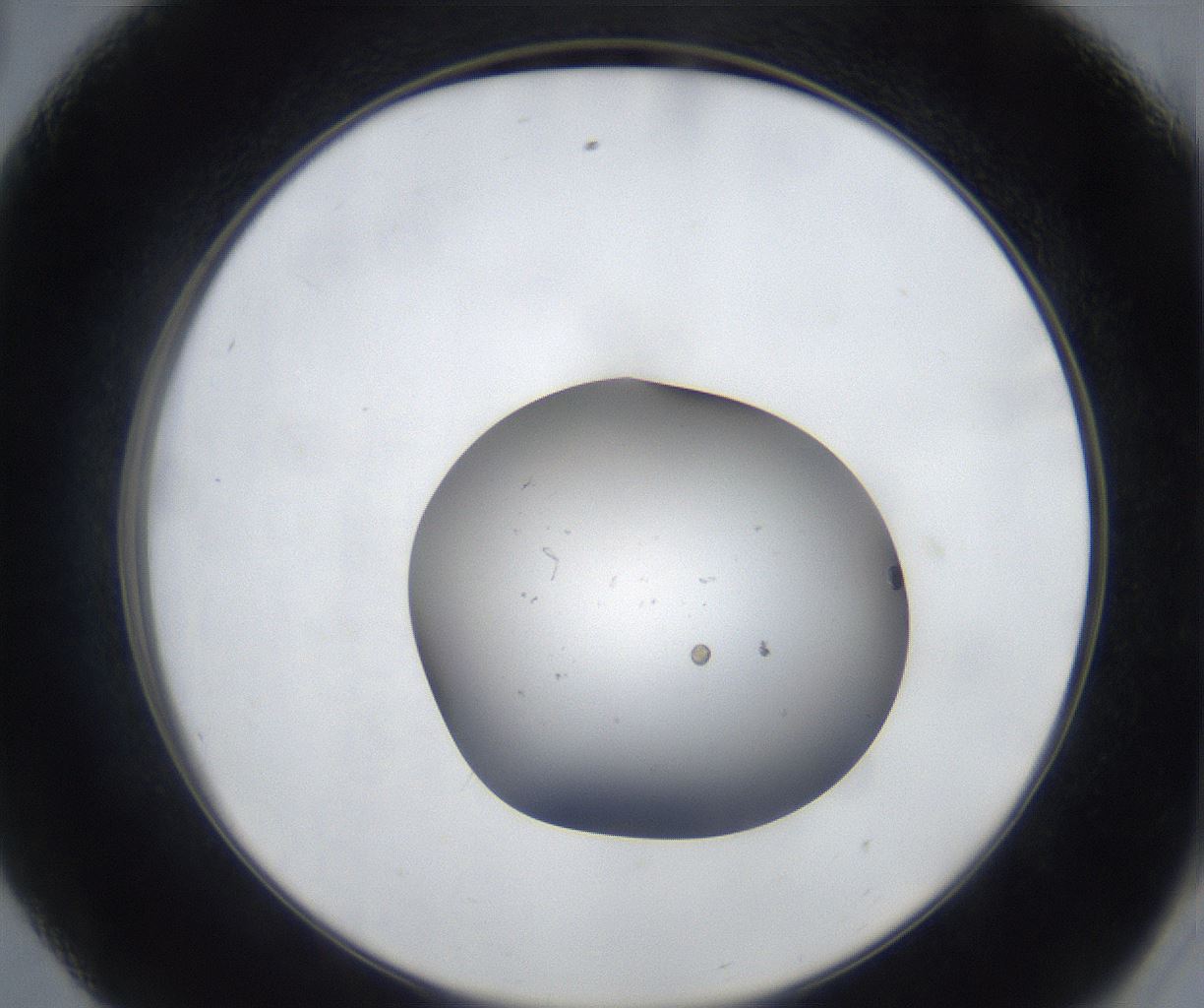 folderID533_plateID2533_batchID12498_wellNum56_profileID1_d2_r191443_ef.jpg