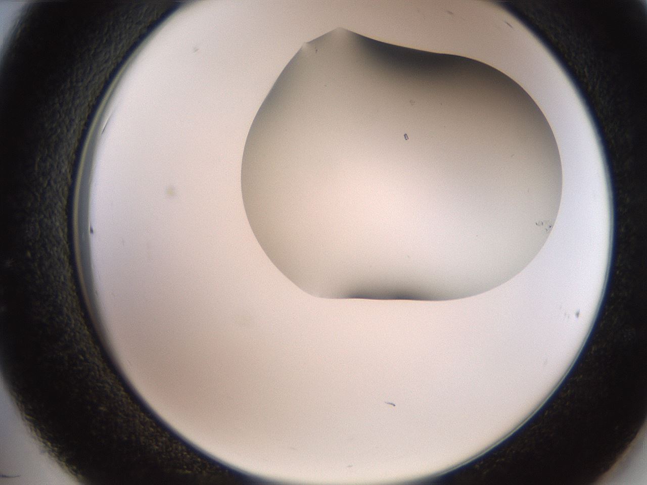 folderID565_plateID2565_batchID13019_wellNum36_profileID1_d2_r195884_ef.jpg