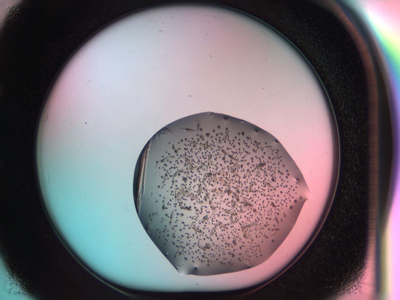 03cr_E5_ImagerDefaults_6.jpg