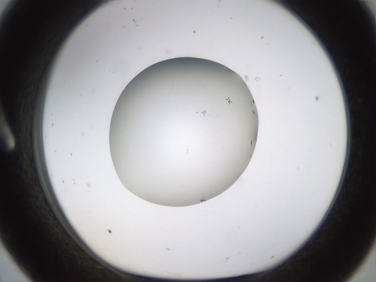 folderID576_plateID1576_batchID6364_wellNum8_profileID1_d1_r103318_ef.jpg