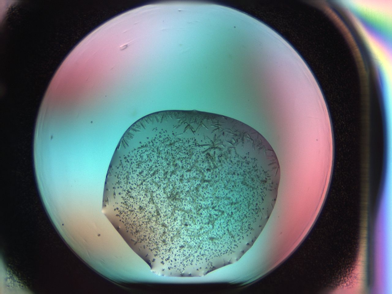 03cr_F6_ImagerDefaults_6.jpg