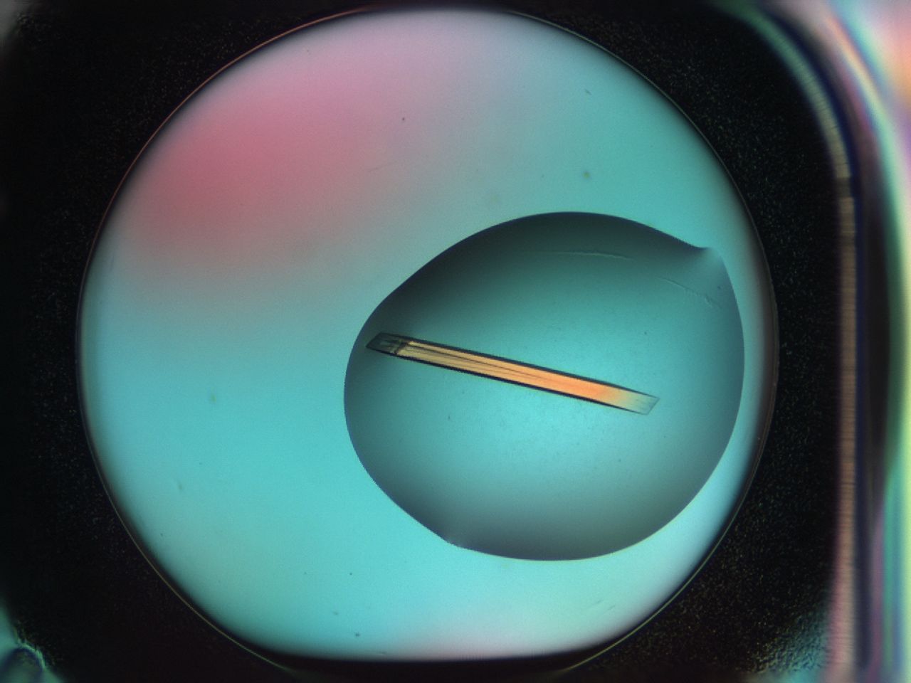 03cs_F11_ImagerDefaults_7.jpg