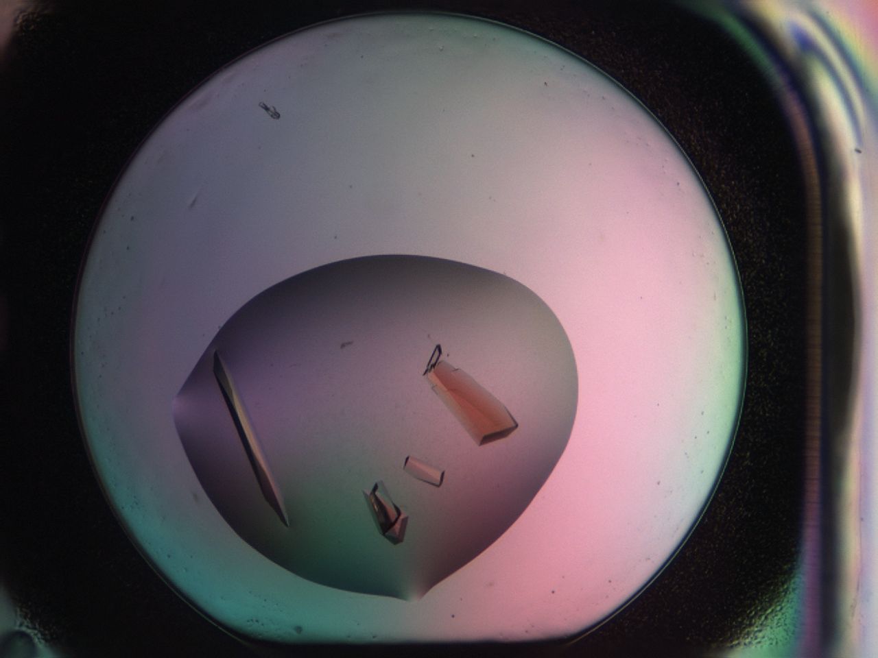 03cs_G11_ImagerDefaults_7.jpg