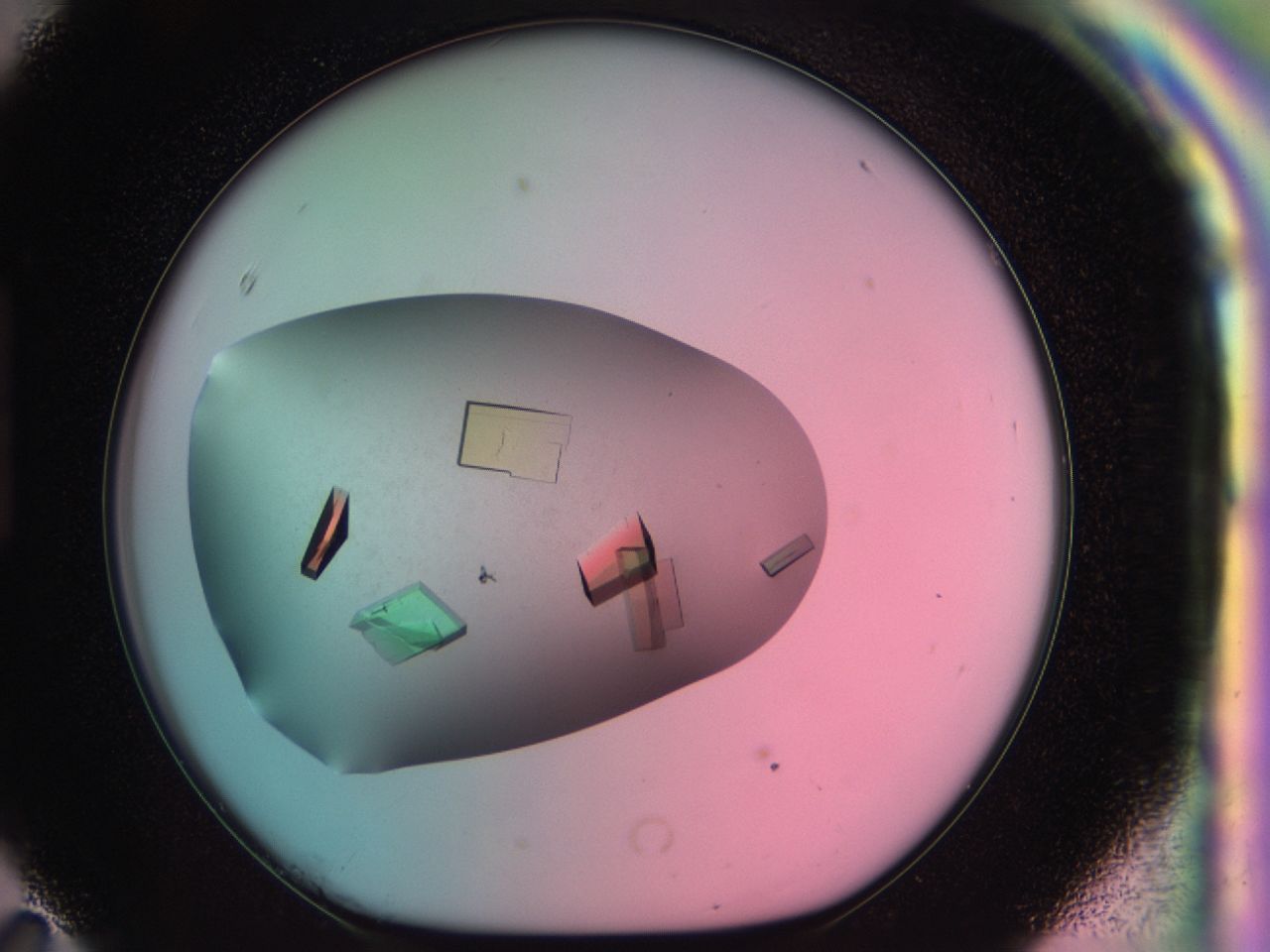 03cs_H11_ImagerDefaults_8.jpg