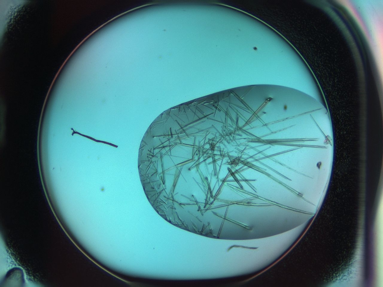 03ct_D11_ImagerDefaults_6.jpg