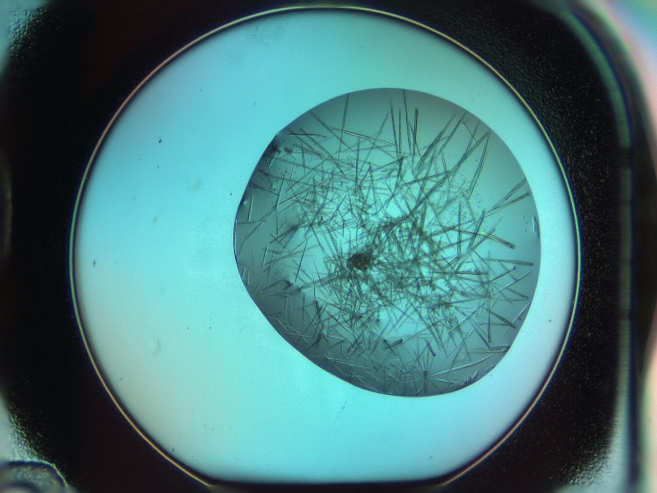 03ct_D12_ImagerDefaults_6.jpg