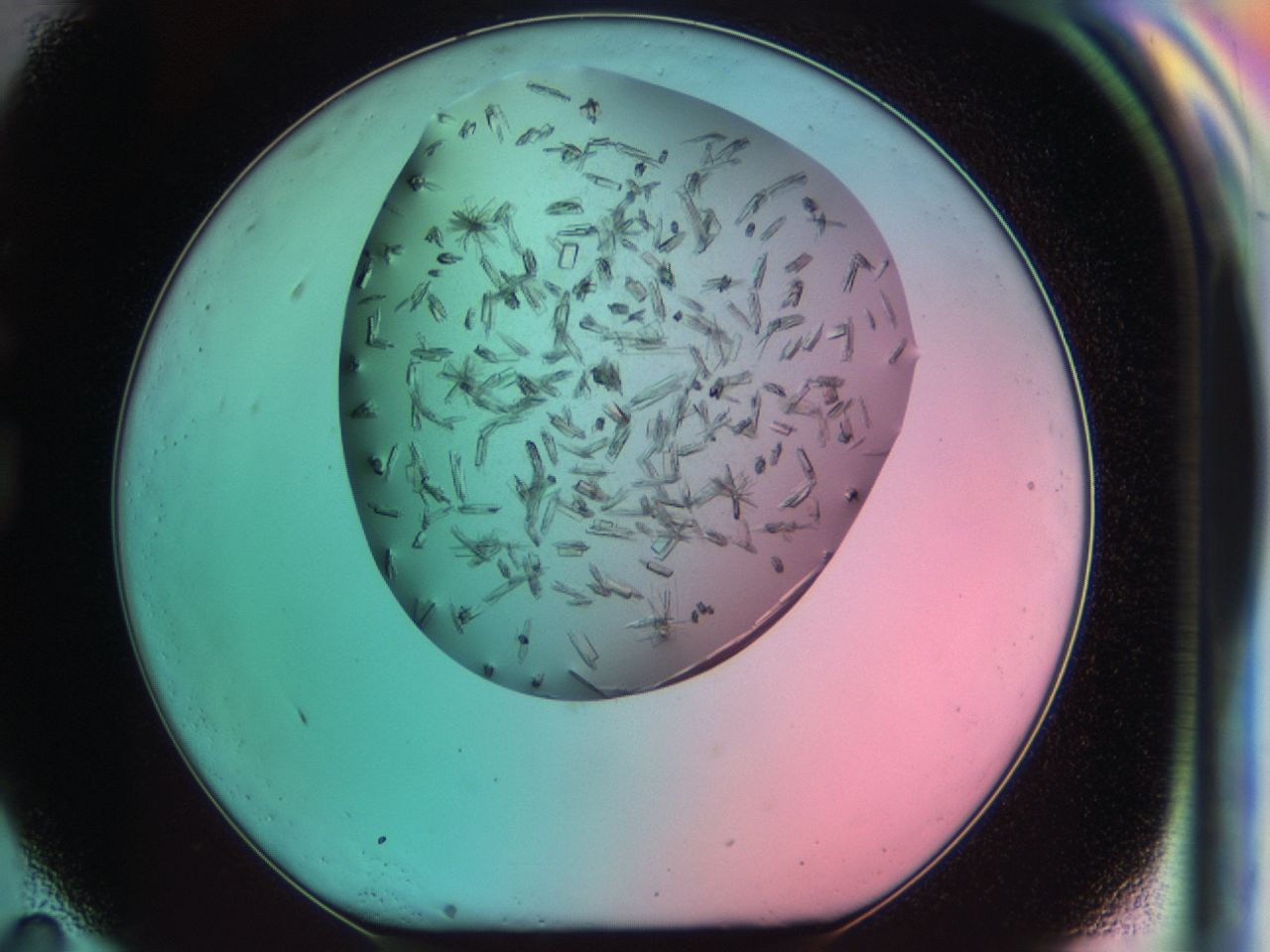 03ct_G11_ImagerDefaults_7.jpg