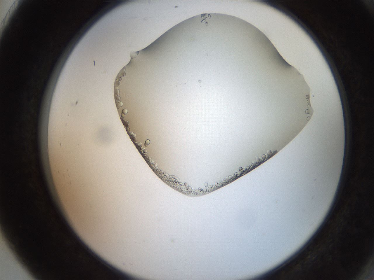 folderID205_plateID2205_batchID10007_wellNum91_profileID1_d2_r150124_ef.jpg