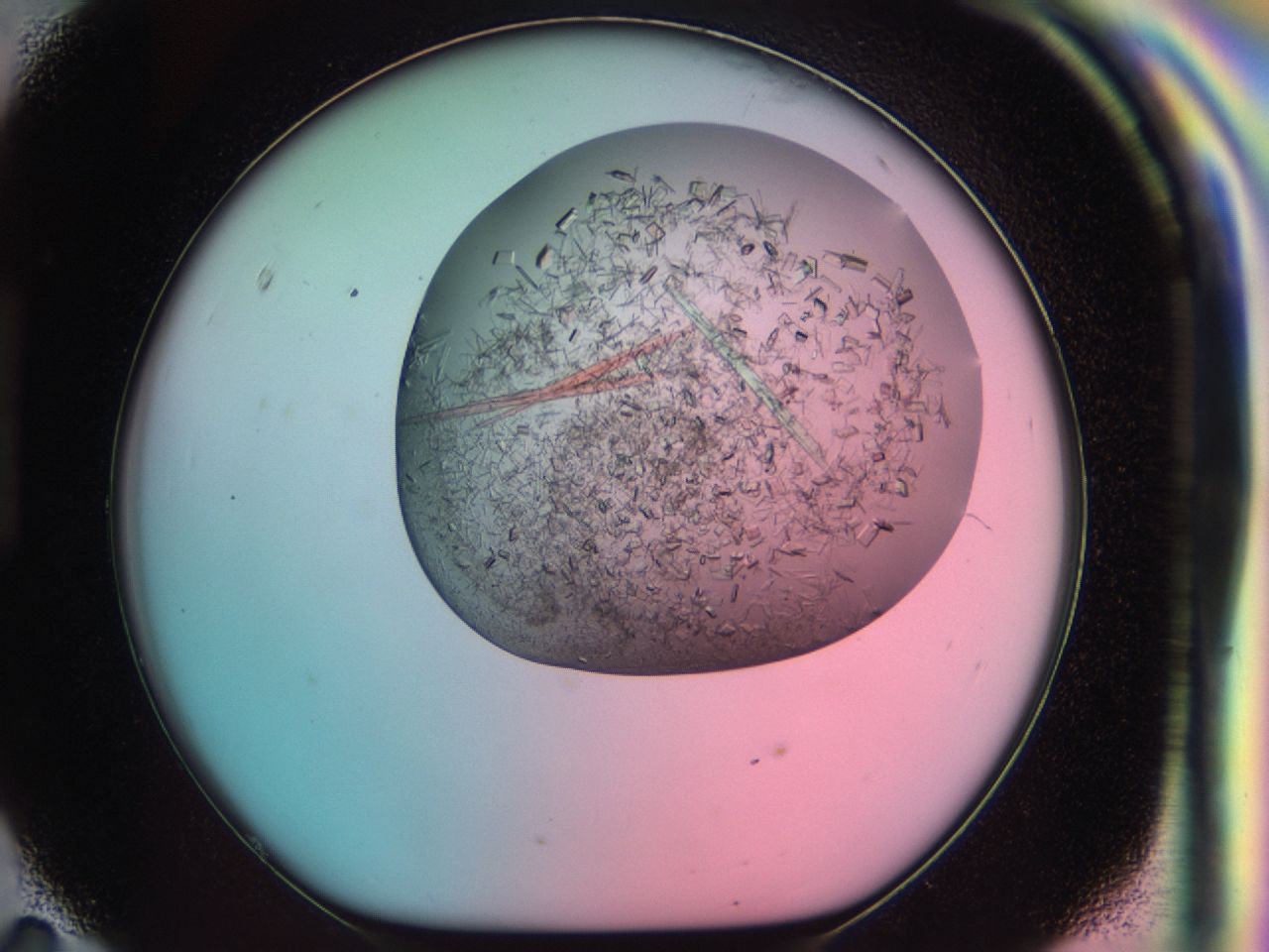 03ct_H11_ImagerDefaults_6.jpg