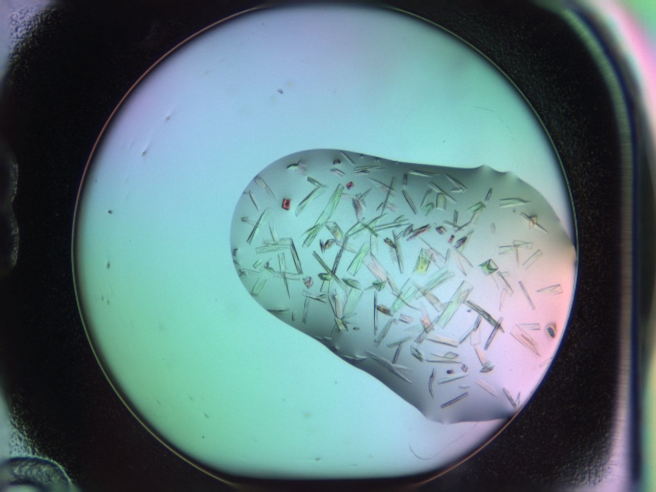 03cu_B12_ImagerDefaults_7.jpg