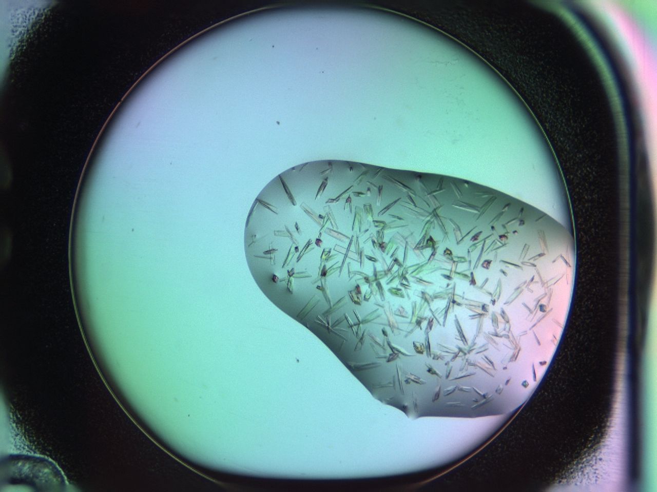 03cu_C12_ImagerDefaults_7.jpg