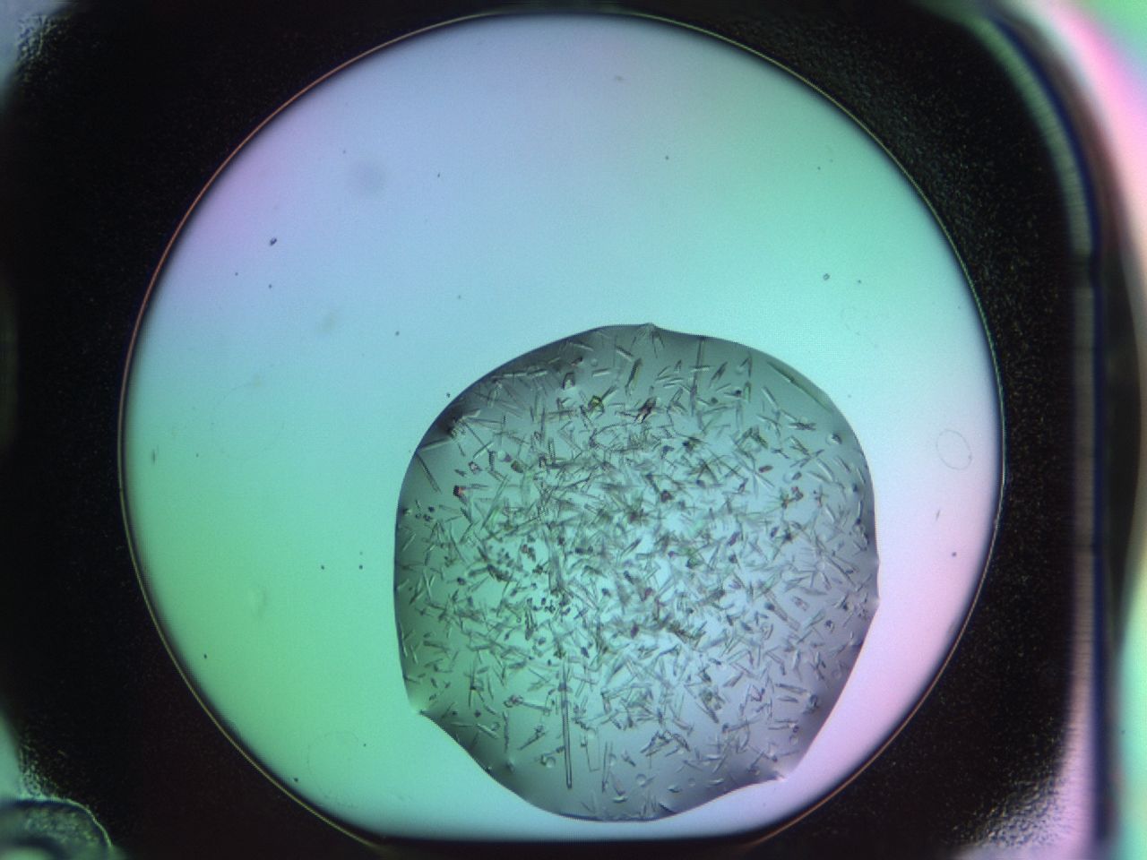 03cu_D12_ImagerDefaults_6.jpg
