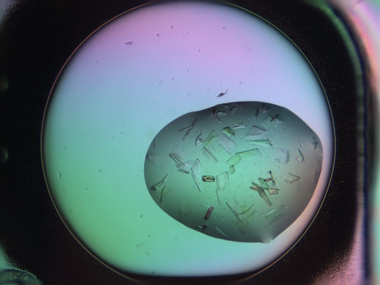 03cu_E12_ImagerDefaults_7.jpg