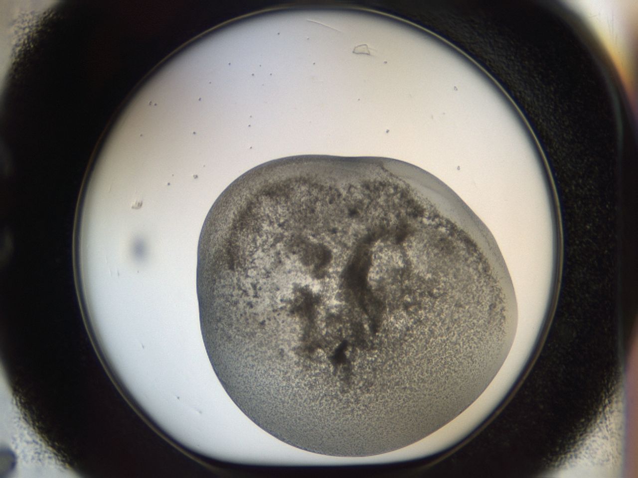 03cy_C7_ImagerDefaults_6.jpg
