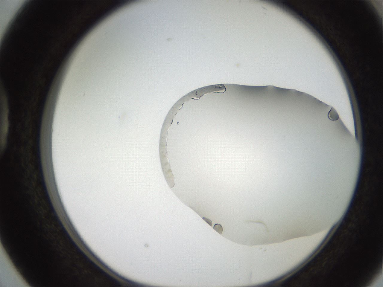 folderID206_plateID2206_batchID9998_wellNum38_profileID1_d1_r149825_ef.jpg