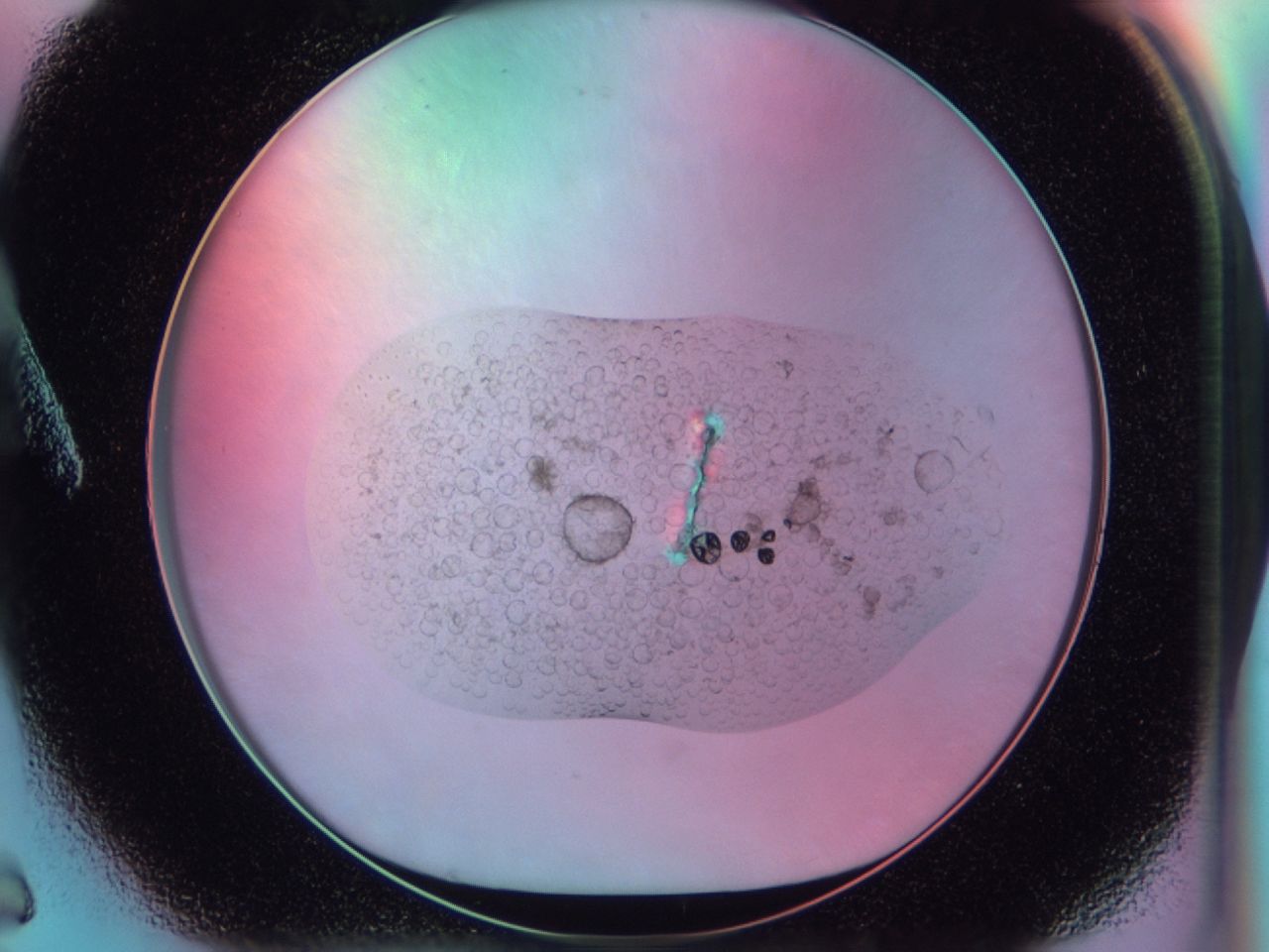 03d4_A6_ImagerDefaults_6.jpg