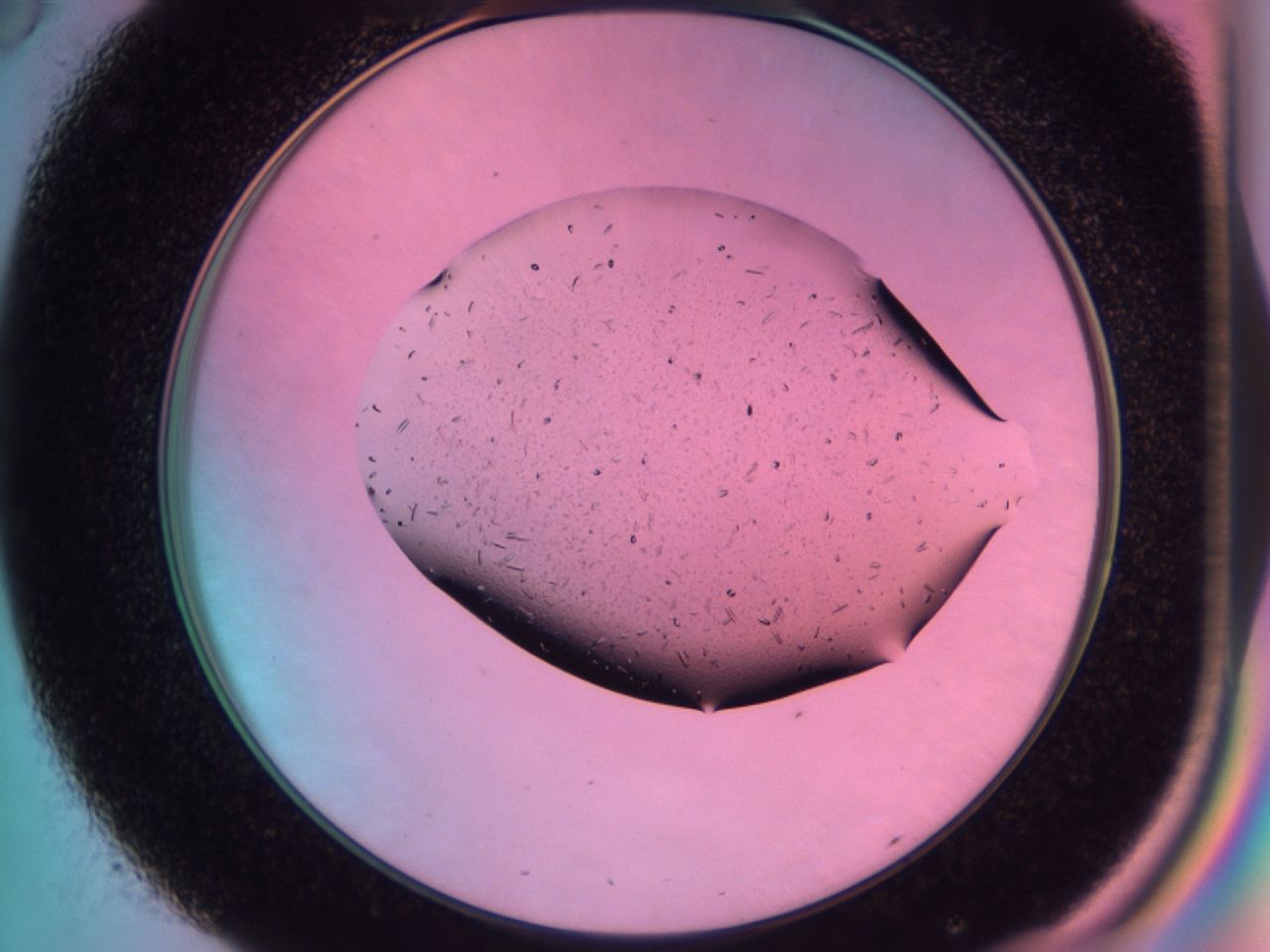 03dp_C8_ImagerDefaults_7.jpg