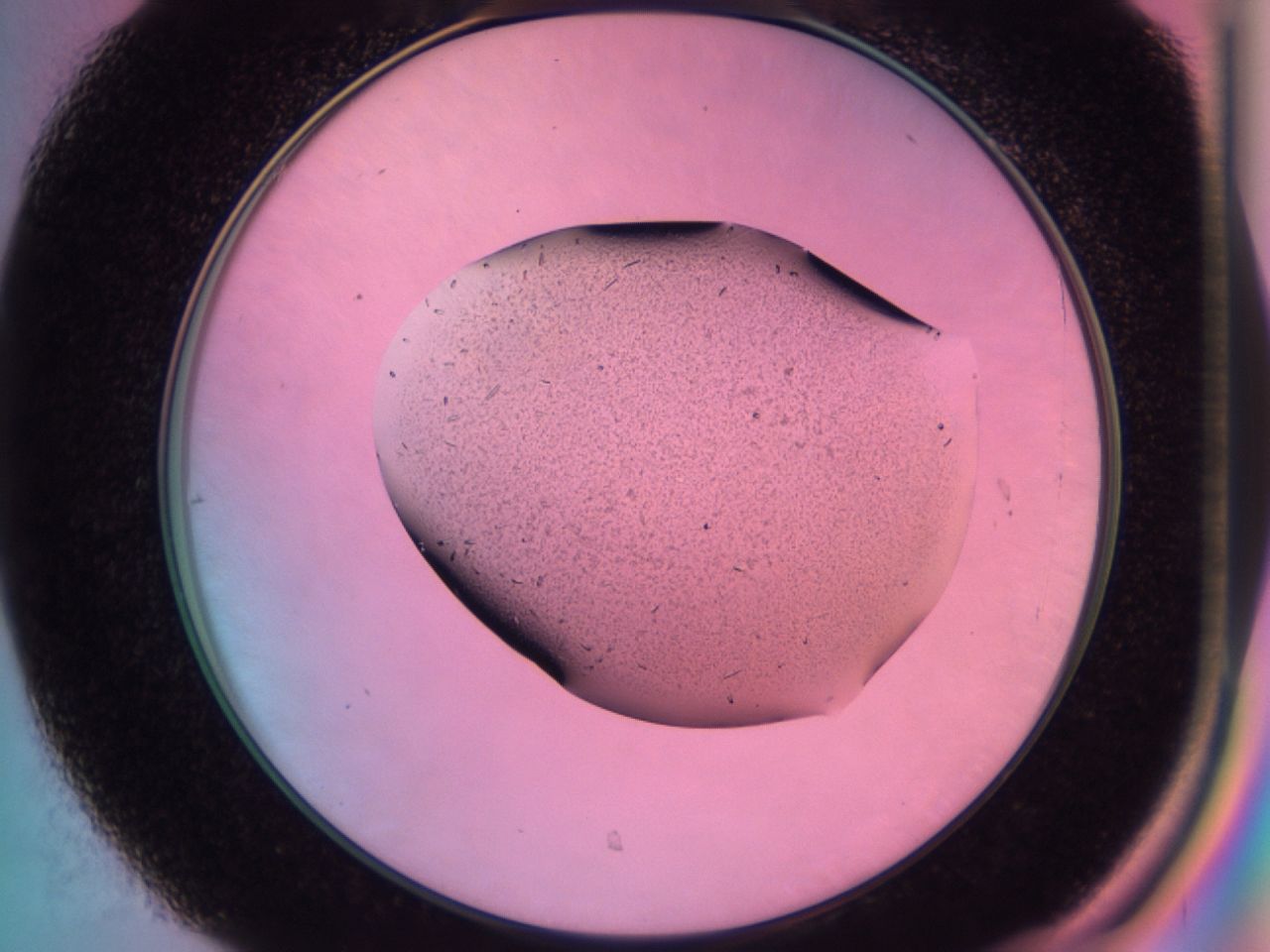 03dp_C7_ImagerDefaults_6.jpg