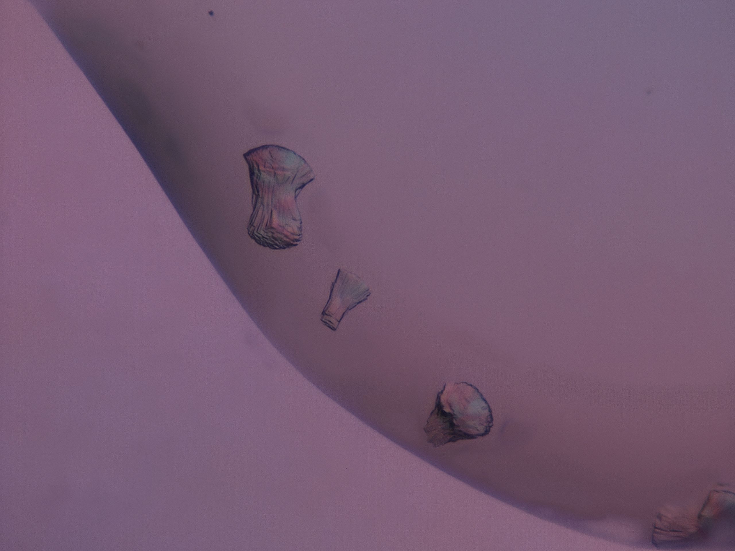 03dr_A3_HighResolution_7.jpg
