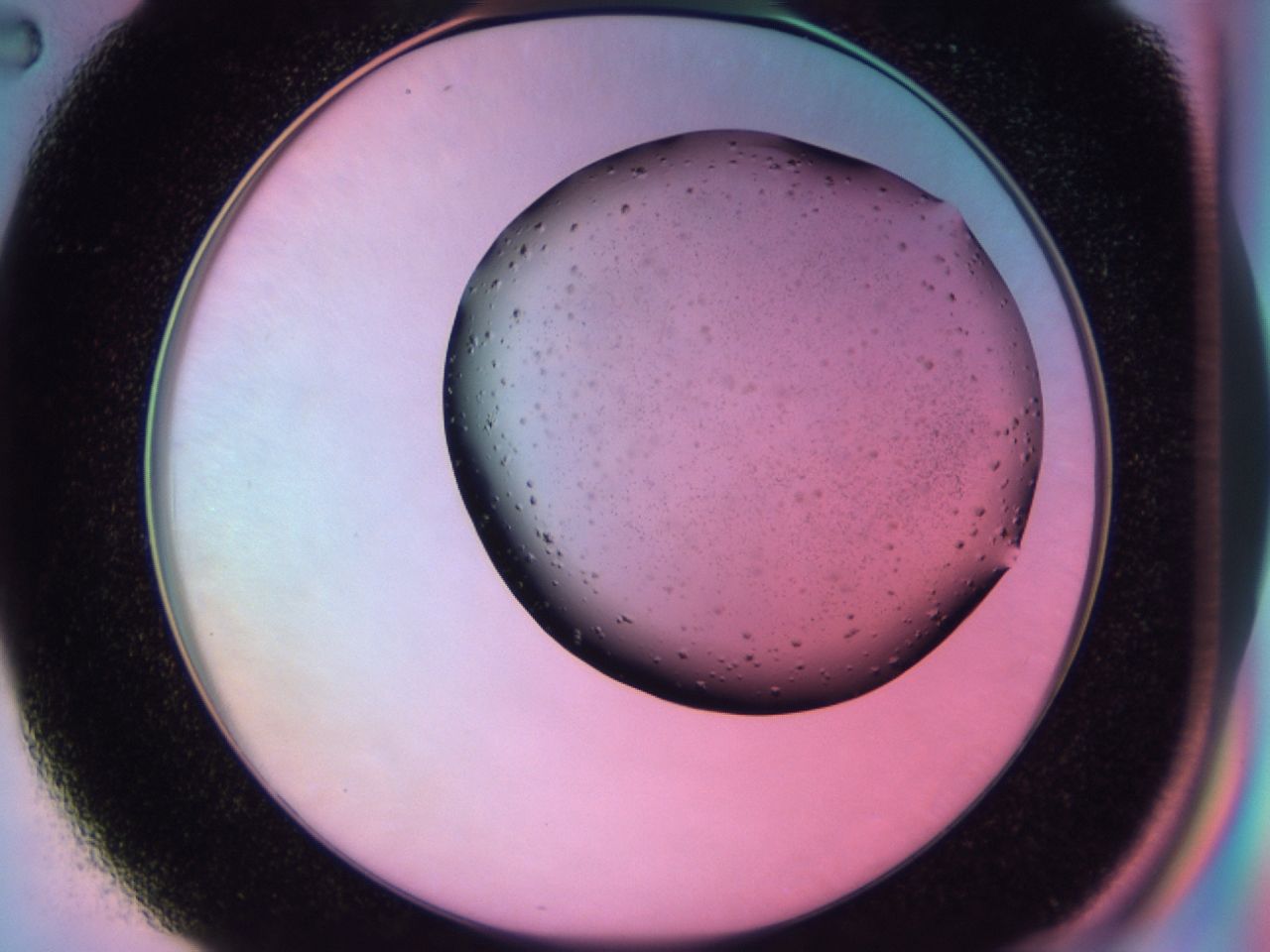 03dr_C2_ImagerDefaults_6.jpg