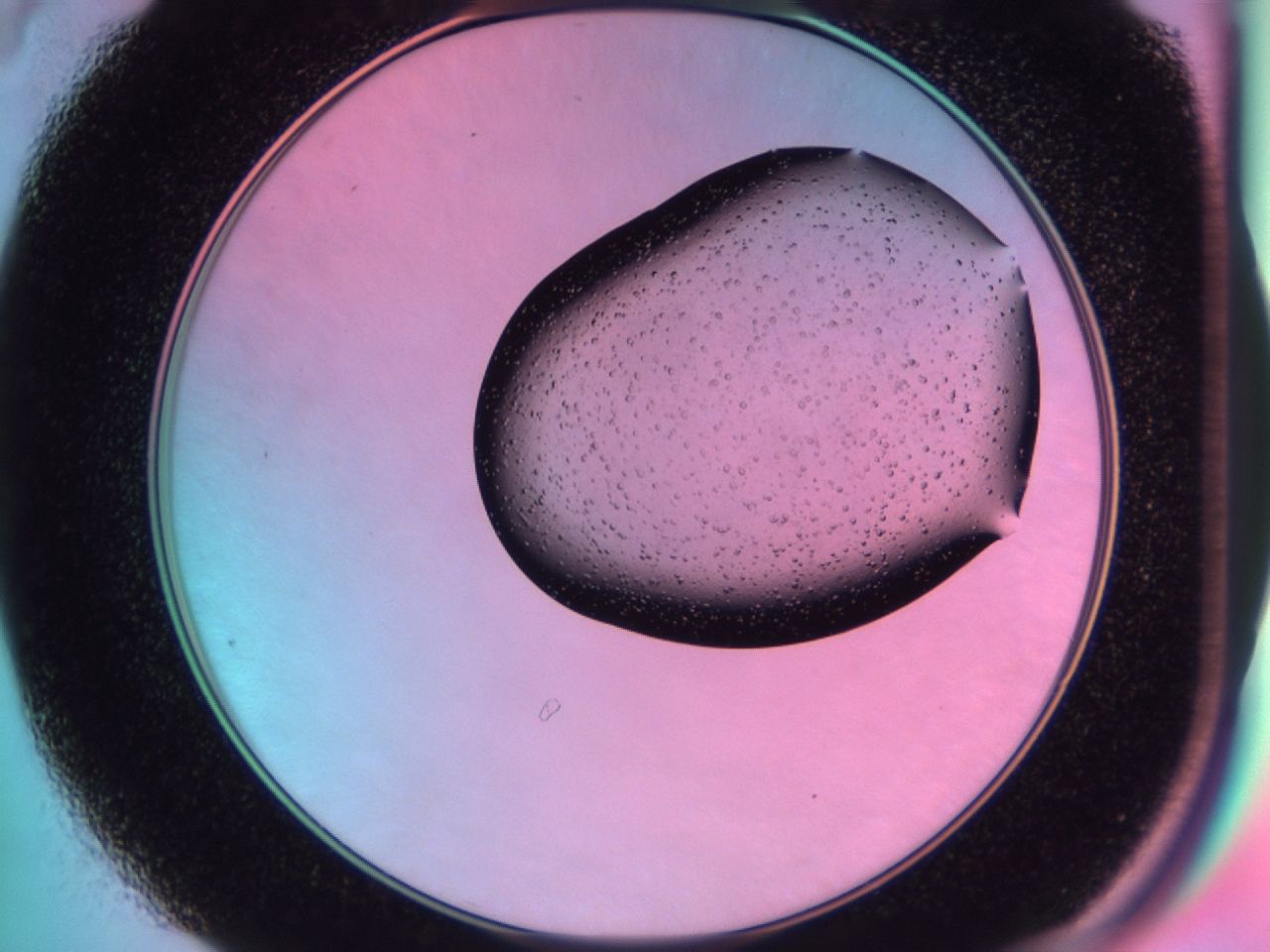 03dx_B4_ImagerDefaults_6.jpg
