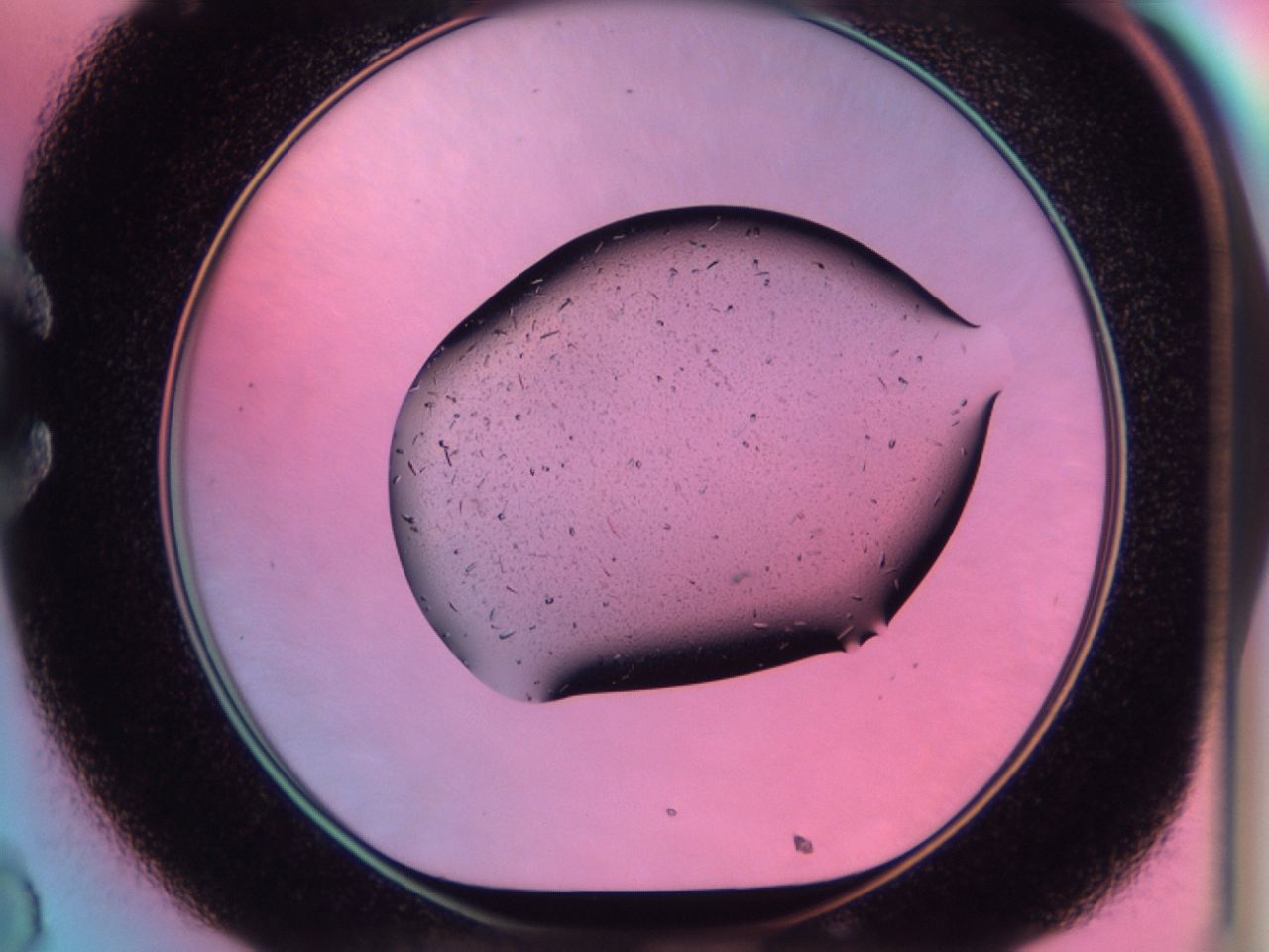 03dx_C8_ImagerDefaults_7.jpg